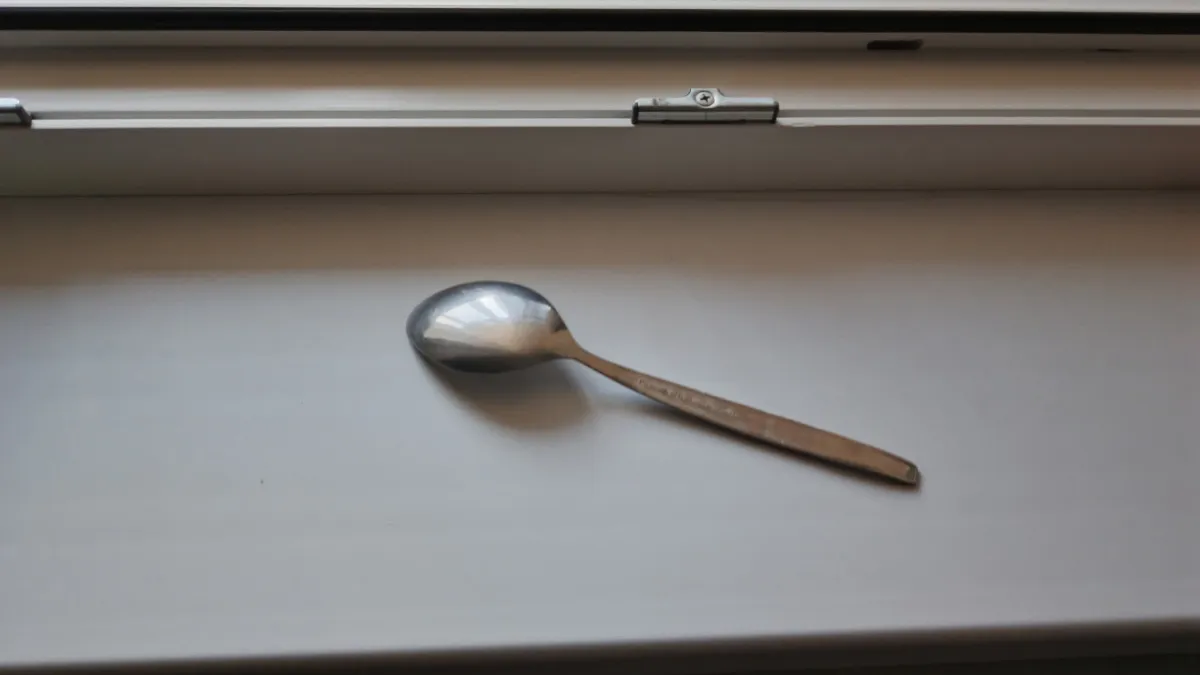 Кладу ложку на подоконник, когда уезжаю из дома. Это помогает решить основную проблему