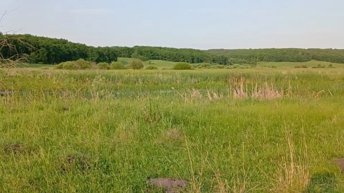 «Май и июнь будут самыми странными в XXI веке». Синоптики сообщили, к чему готовиться