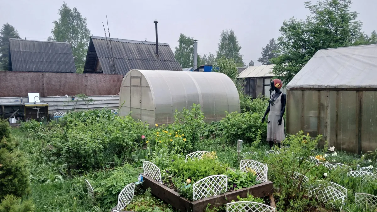 Что выгодно выращивать в закрытом грунте: путь к прибыльному урожаю