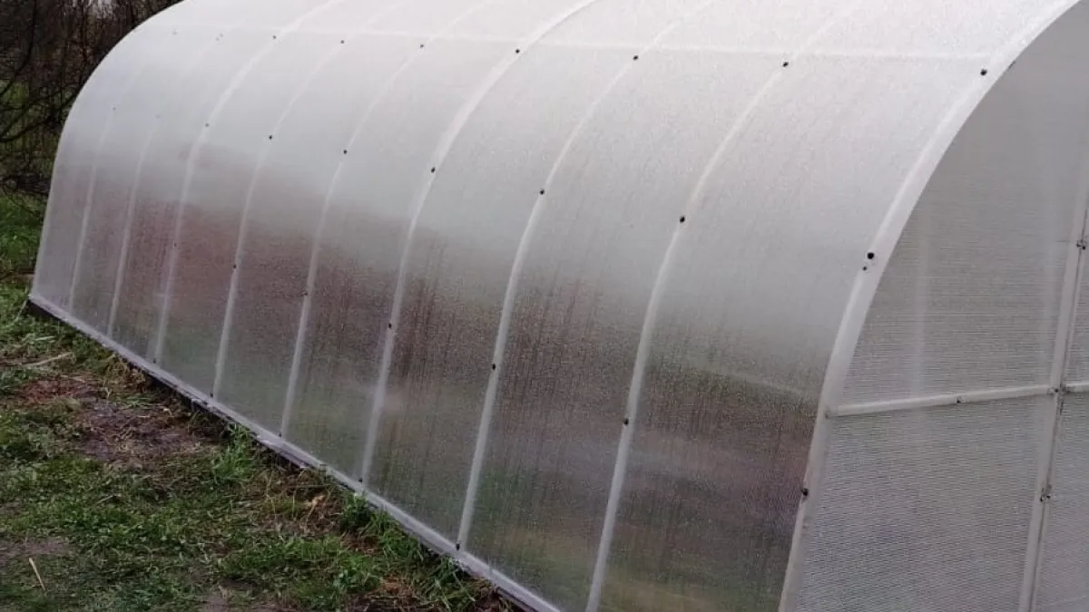 Пленка и поликарбонат для теплиц вышли из моды: сейчас все предпочитают этот вариант