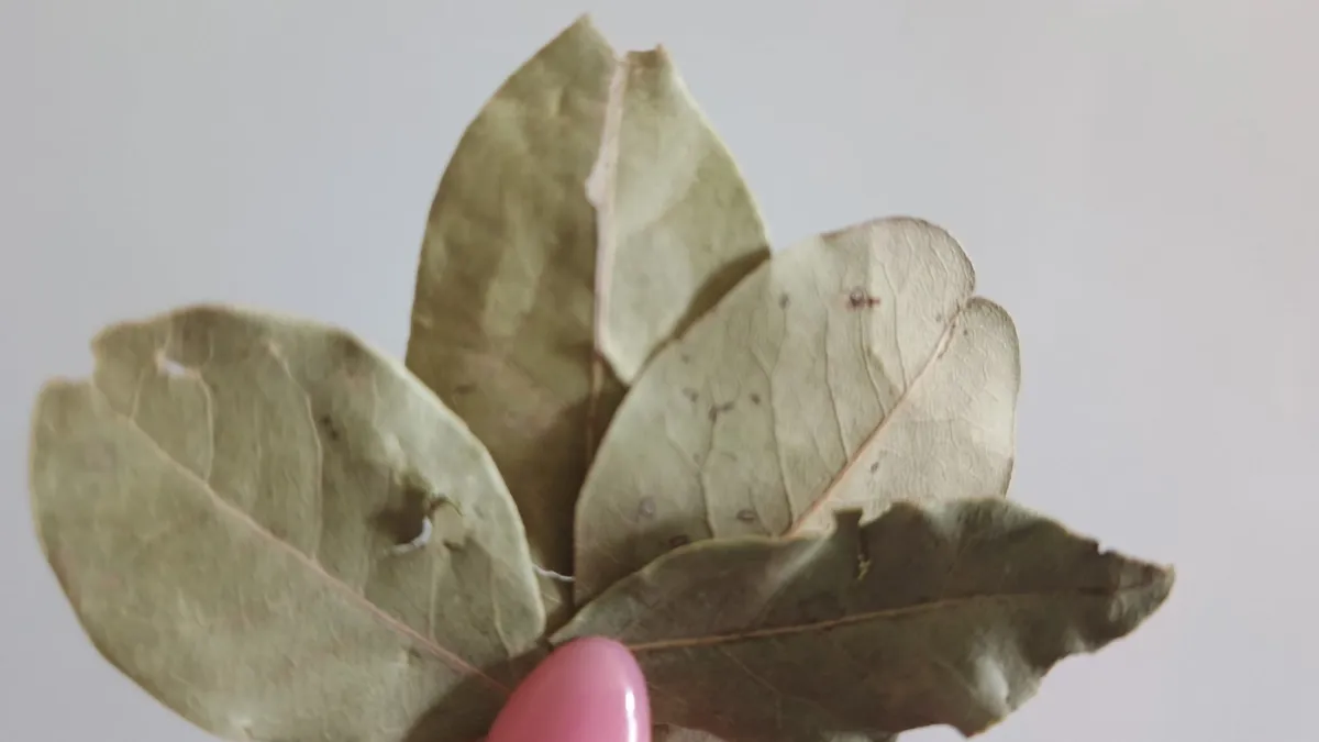 Кладу листик на полку — и крепкий сон обеспечен: вся семья моментально замечает разницу дома