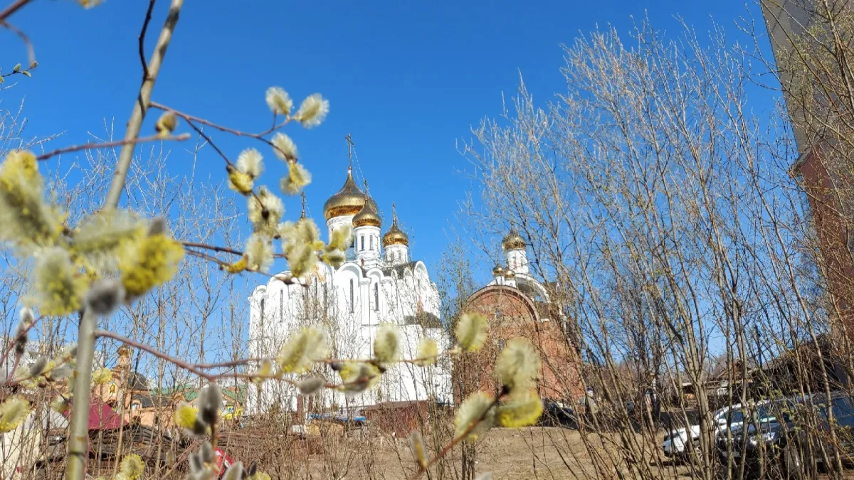 До +14 градусов и без осадков: теплая пятница ждет Калужскую область 13 марта