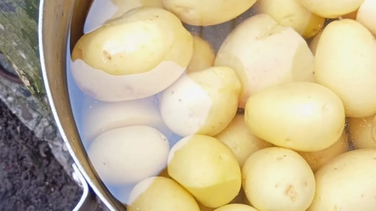 Как за пару минут почистить целую миску картошки: хитрость, о которой не догадывается большинство хозяек