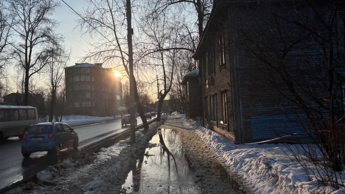 До +12 градусов и без осадков: погода в Калужской области на 16 марта