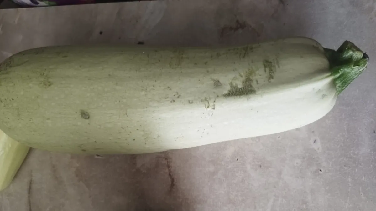 Кабачки без хлопот: топ-5 надежных сортов — мясистая вкусная мякоть, не боятся холода и плодоносят как заводные