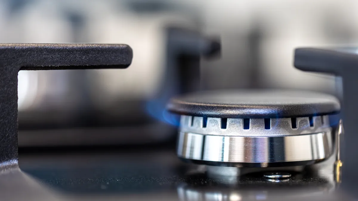 Коммунальщикам разрешили отключать газ в квартирах за недопуск в квартиру газовщиков с марта 2026 года