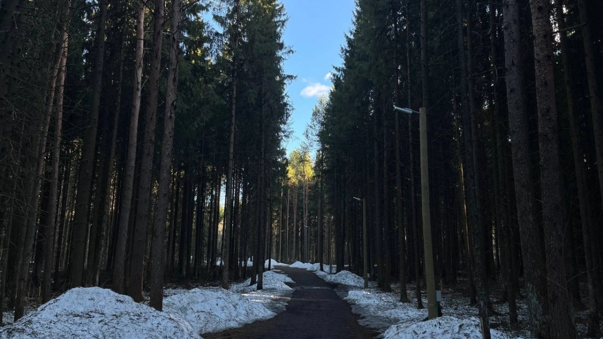 До +11 градусов и без осадков: погода в Калужской области на 18 марта