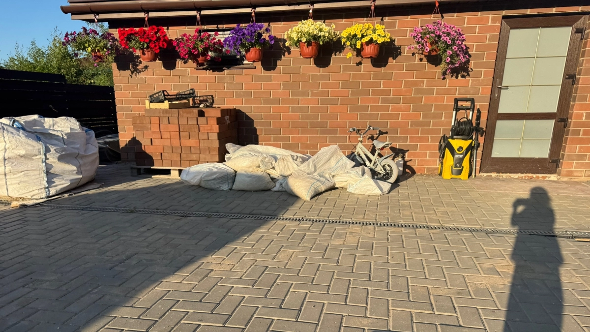 Зацветут у любого: когда сажать петунию на рассаду и какие сорта лучше выбрать