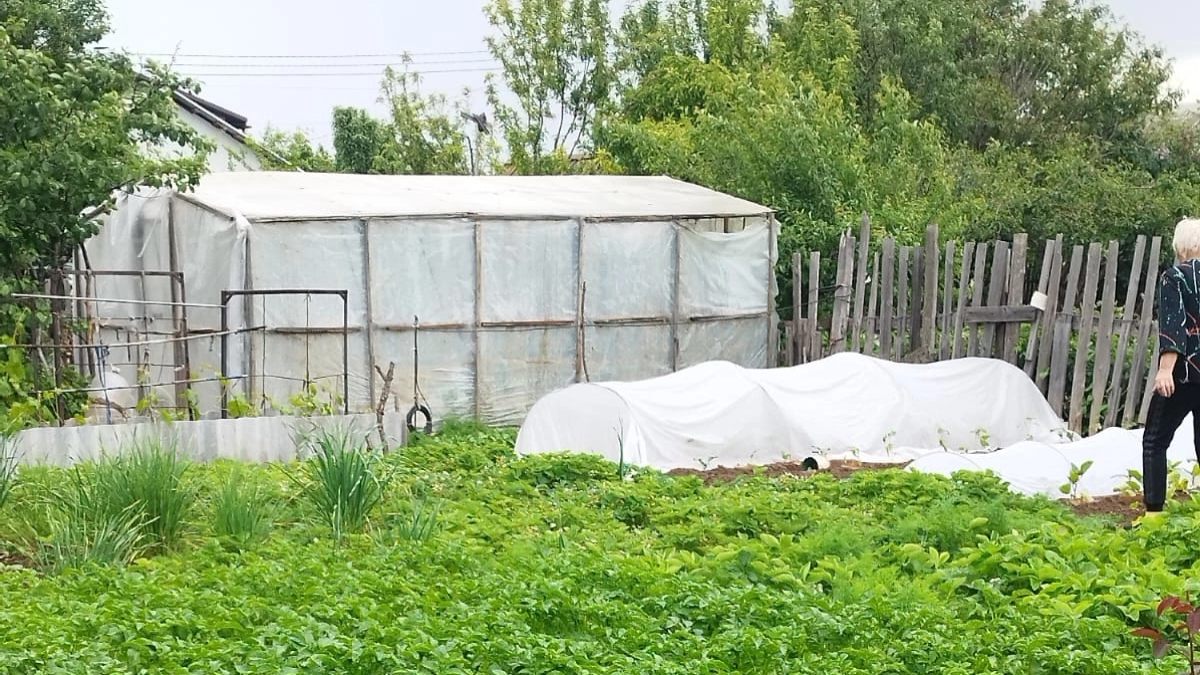 Синоптики рассказали, чего ожидать дачникам в майские выходные 2026 года