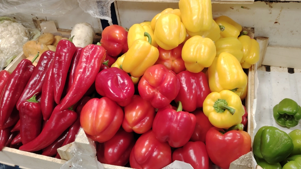 Перцы без хлопот. Когда сажать перец в 2026: все идеальные даты для посева и важные правила