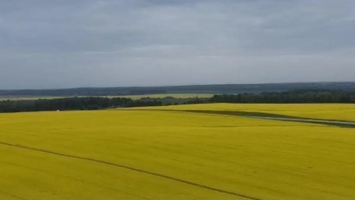 Калужская область ускоренно готовится к посевному сезону