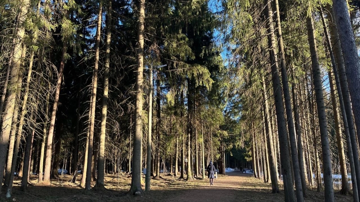 25 марта в Калужской области будет переменная облачность и до +15 градусов