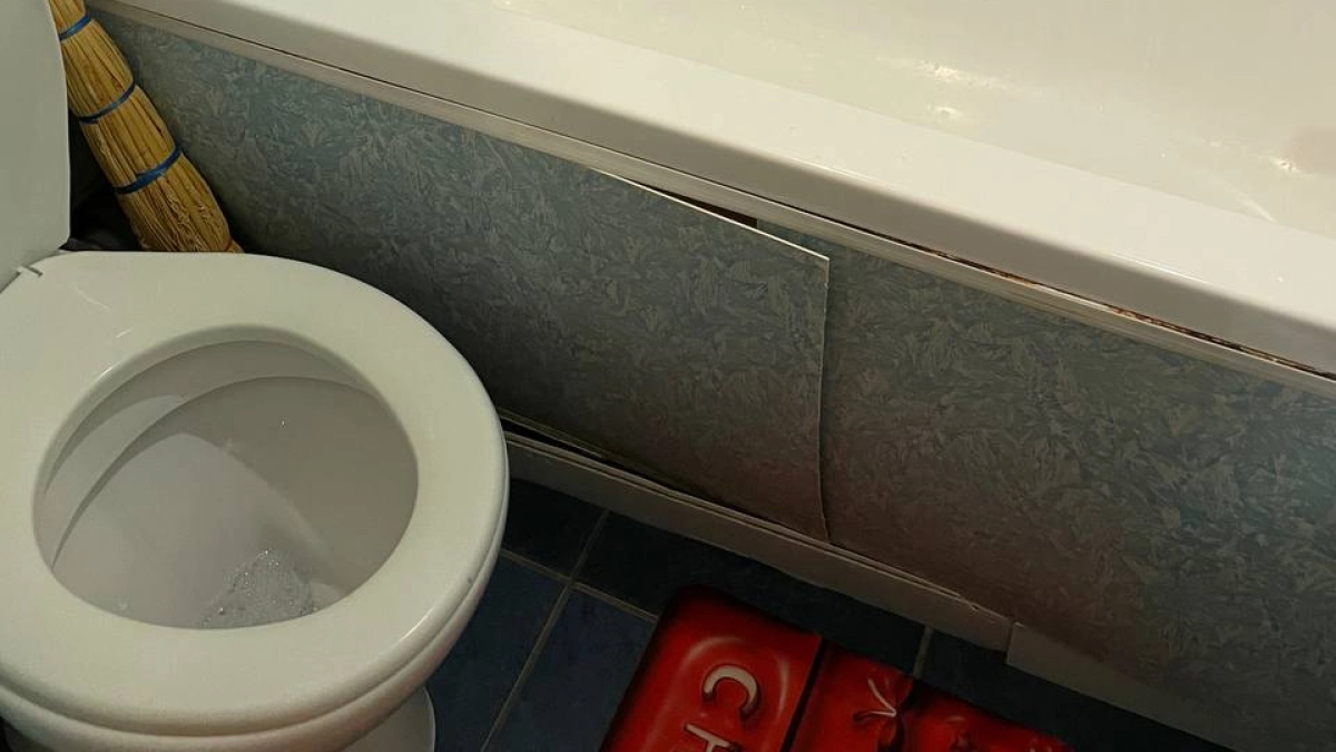 Тру унитаз — и становится как новый: гениальный лайфхак от ушлых хозяек