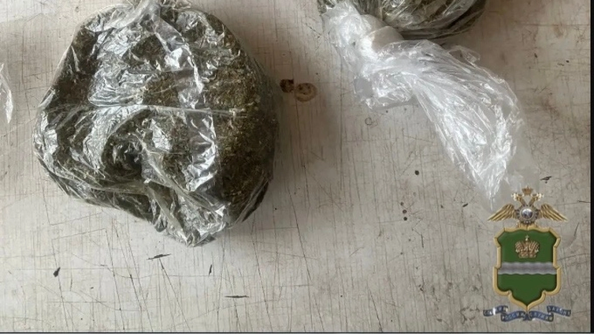 В Калужской области сотрудники полицейские пресекли незаконную деятельность местного жителя