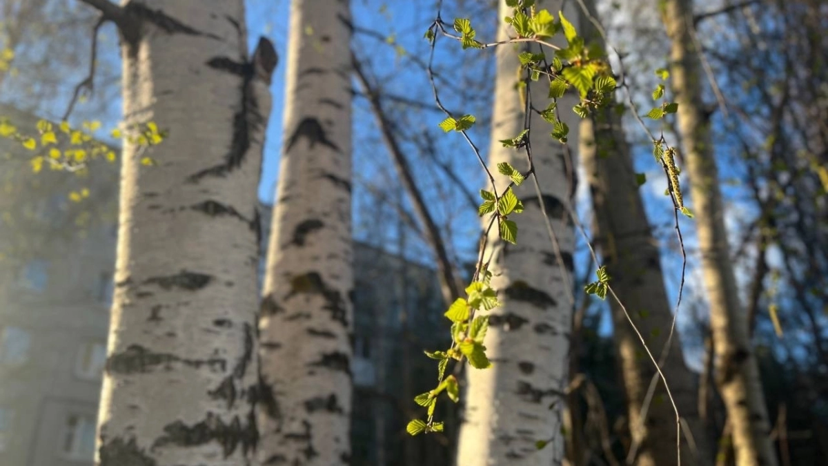 28 марта Калужскую область накроет переменчивая погода