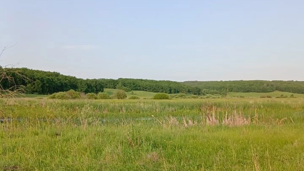 «Лето будет самым непохожим в XXI веке». Синоптики сообщили, к чему готовиться