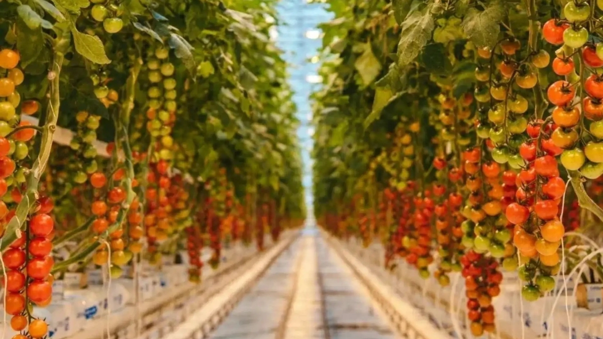 В Калужской области подвели итоги работы агропромышленного комплекса за 2025 год