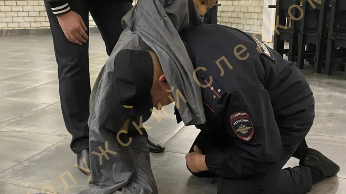 В Людинове мужчина осужден за применение силы и оскорбление сотрудника полиции