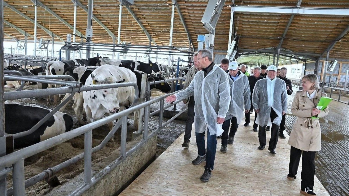 Как в Калужской области увеличивают надои без лишних потерь времени