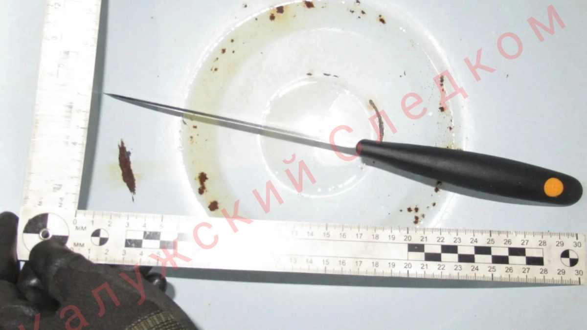 В Калужской области ссора сожителей закончилась убийством из-за оконной рамы