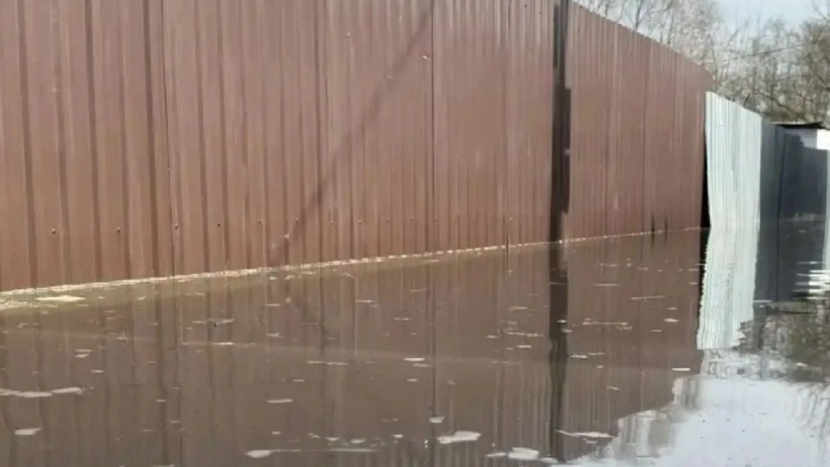 Уровень воды в Прорве в Калужской области пошел на спад