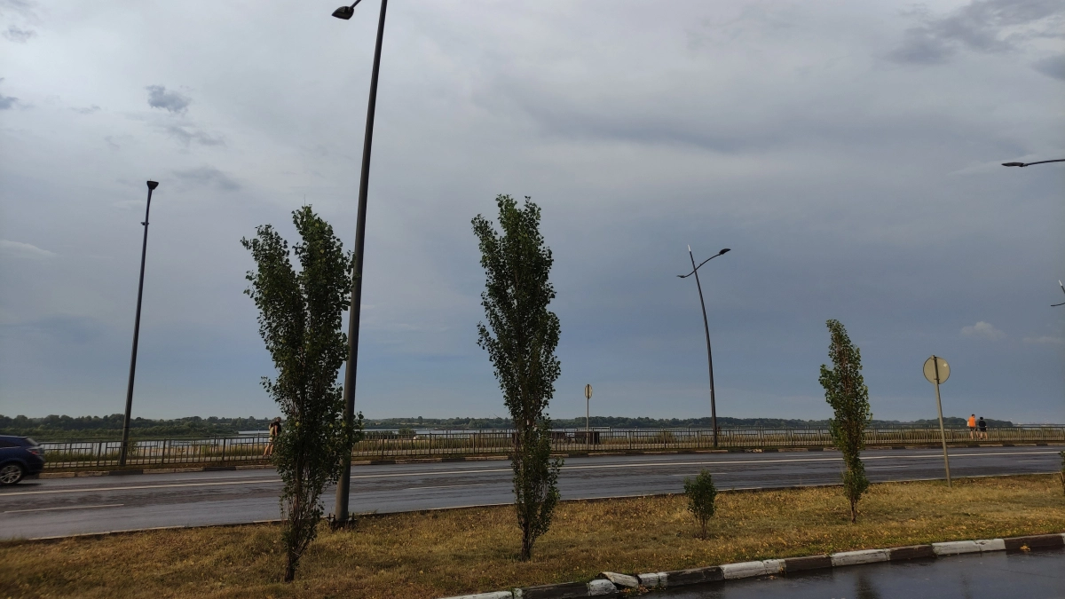 В Калужской области ожидаются дождь и сильный ветер 5 апреля