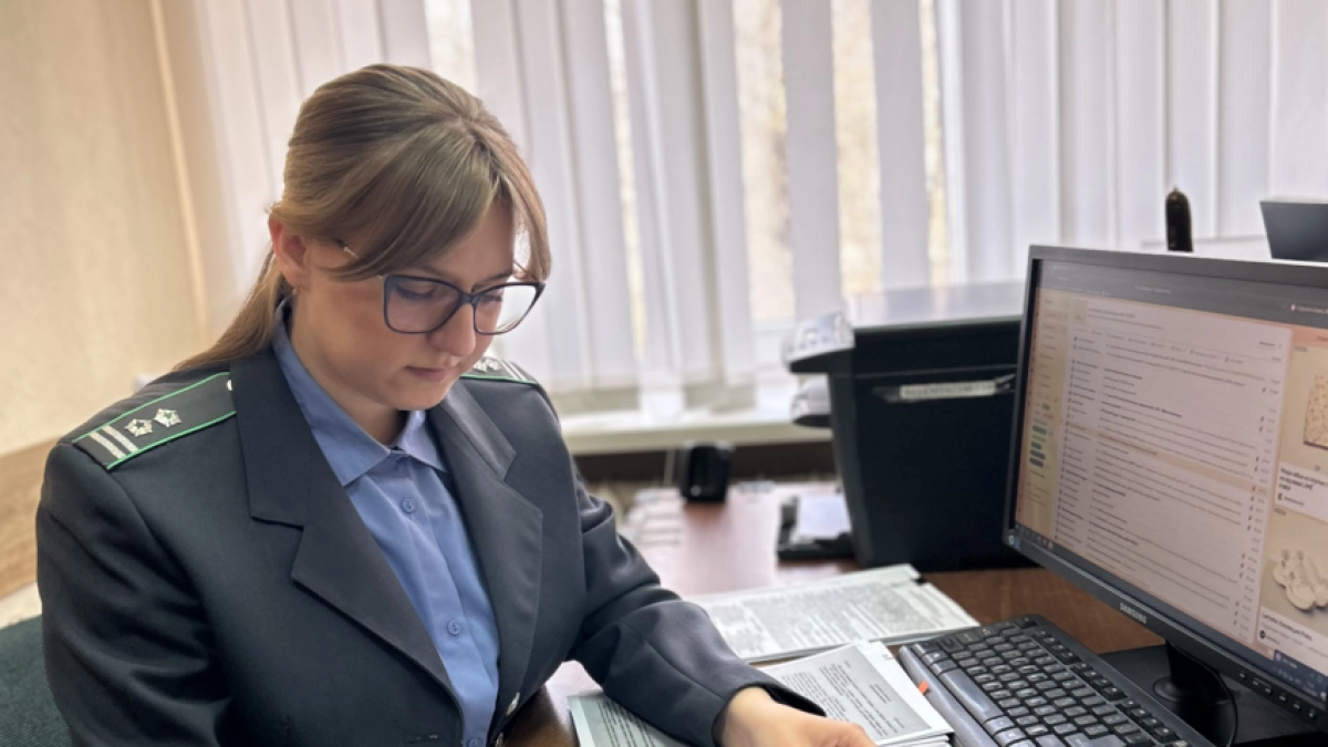 Калужские лесозаготовители нарушали фитосанитарные требования