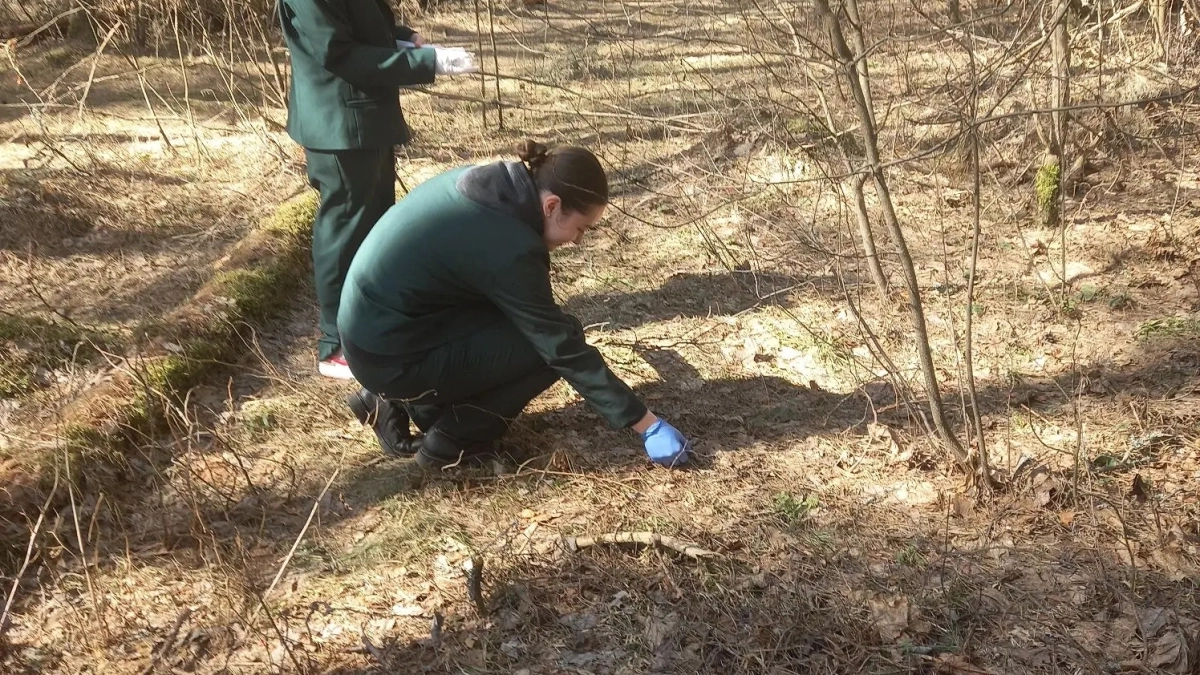 В национальном парке "Угра" в Калужской области разложили вакцину против бешенства