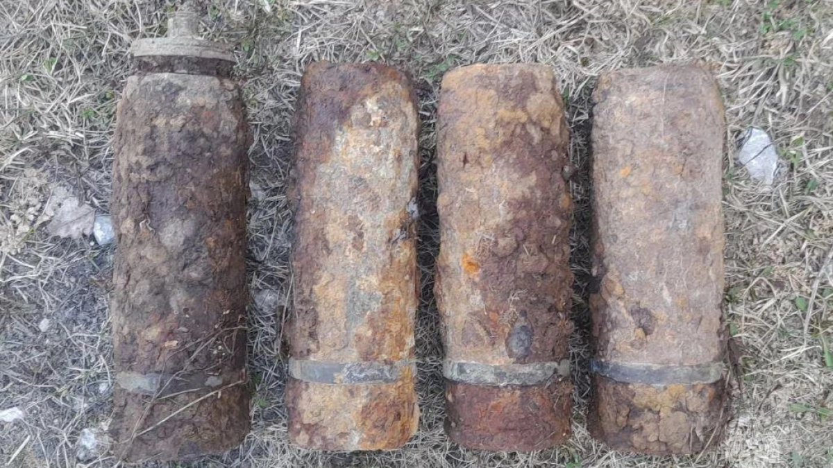 В Калужской области саперы ликвидировали четыре боеприпаса времен Великой Отечественной войны