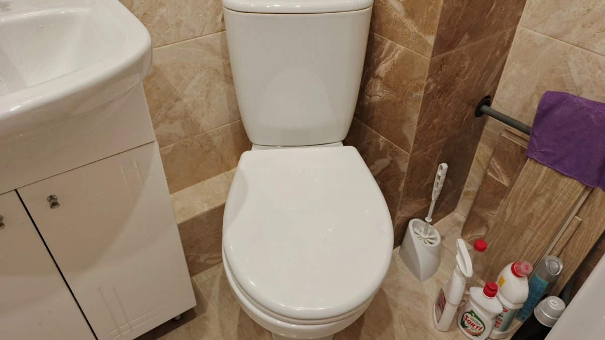 "Просто засыпь и ложись спать, а утром унитаз будет белее снега" – проверяю рекомендацию знакомого сантехника