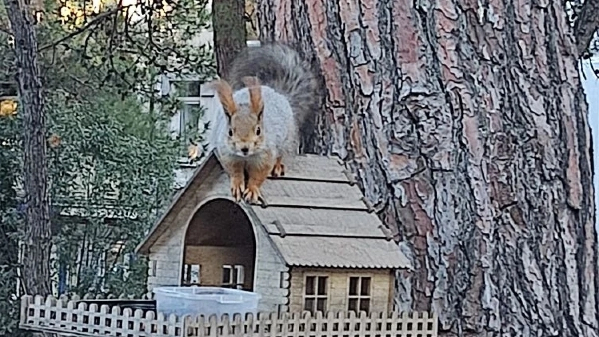 Плюс-минус 20: от аномальной жары до морозов и метелей — какой будет погода в России на этой неделе с 6 по 12 апреля