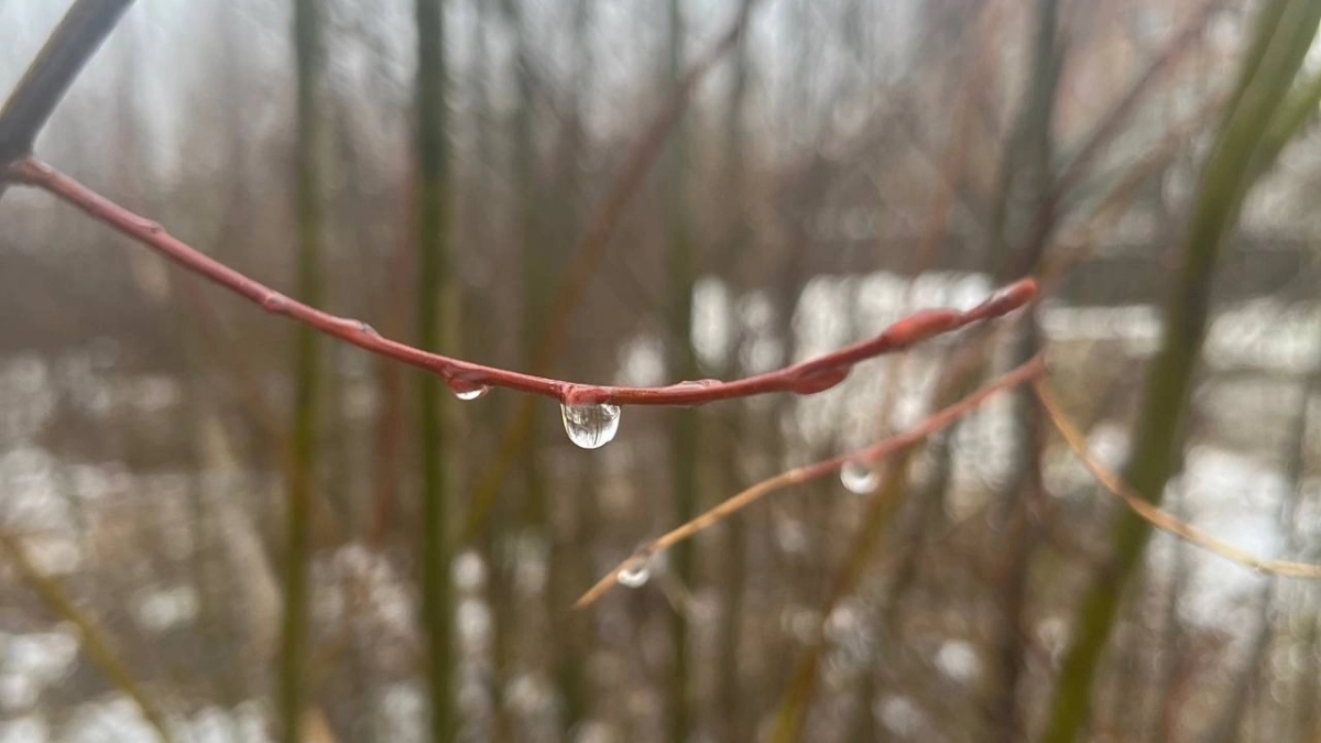 В Калужской области ожидаются мокрый снег и гололедица 10 апреля