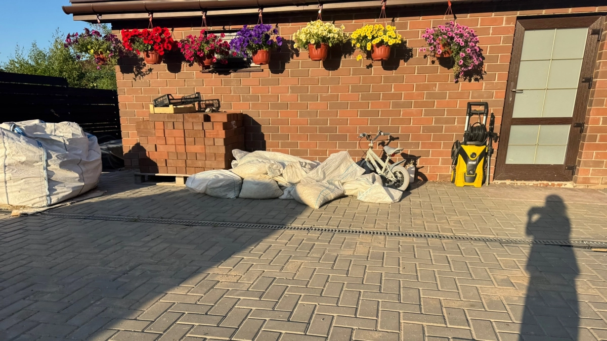 Эту берём, а эту не берём: петунии, которые вас не разочаруют