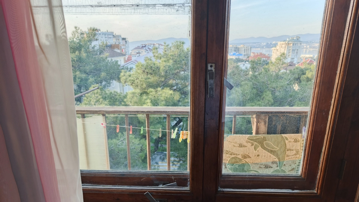 Одна ложка и блестит окошко. Жемчужные окна с мая месяца. Метод круче кондиционера и нашатыря