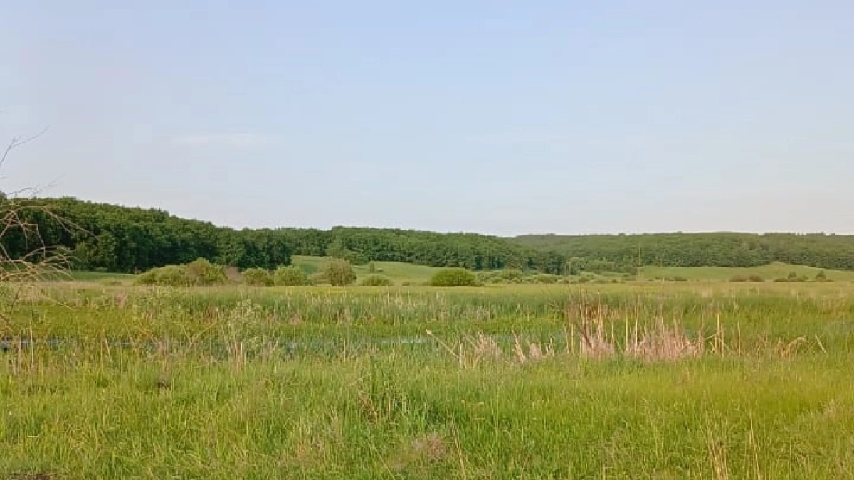 Синоптики сообщили, почему лето 2026 года будет самым необычным