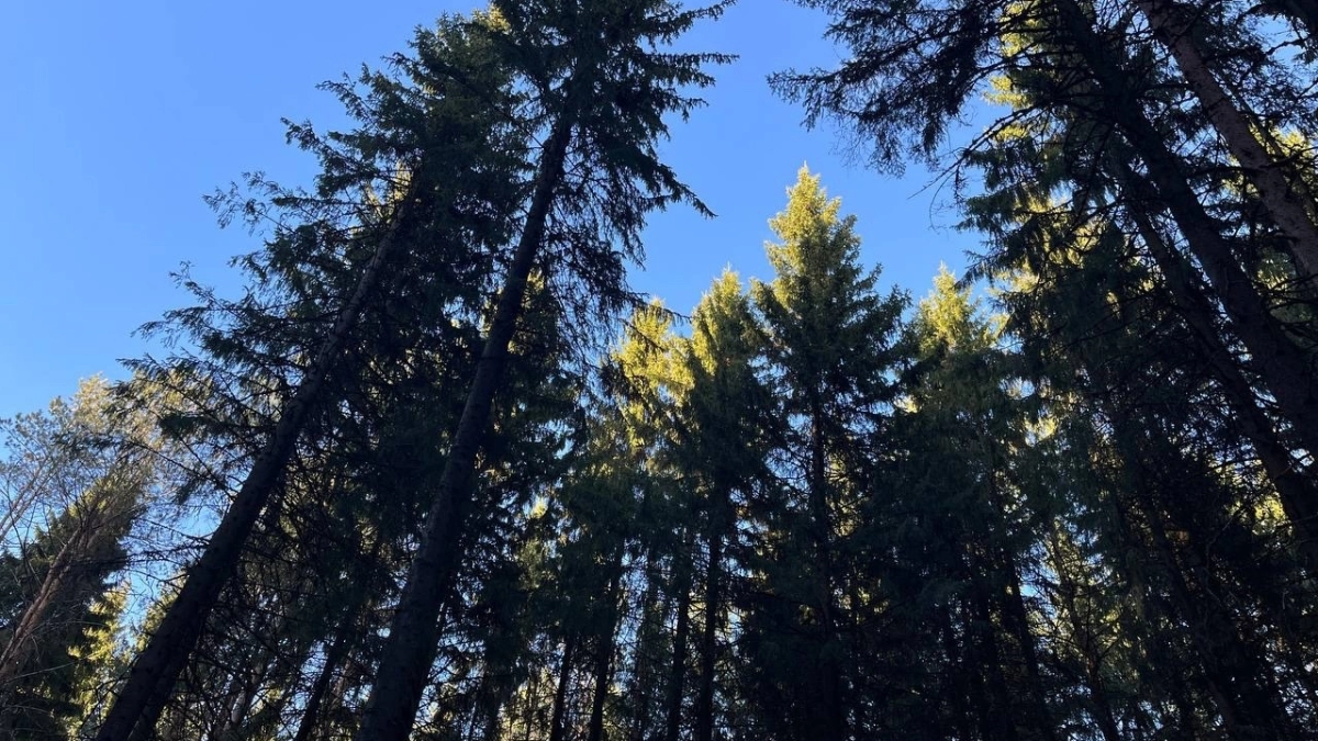 В Калужской области начали весеннее обследование геодезических пунктов