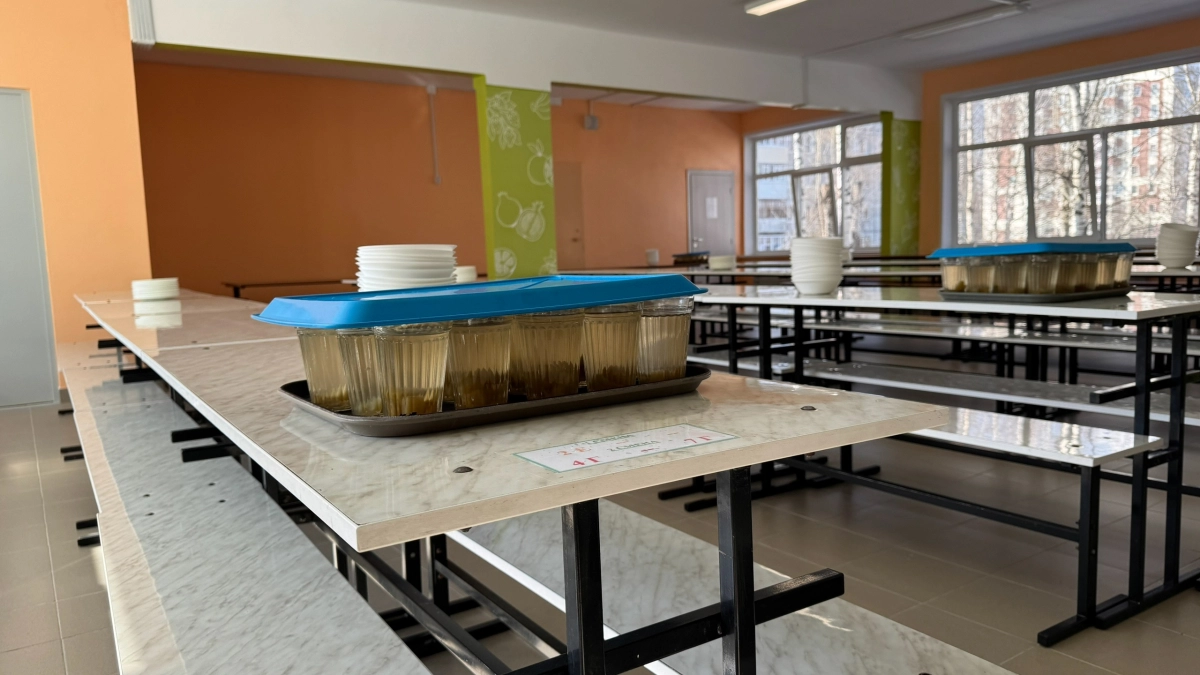 В школе №44 Калуги выявили норовирус у заболевших учащихся и подтвердили возвращение к очному обучению с 15 апреля