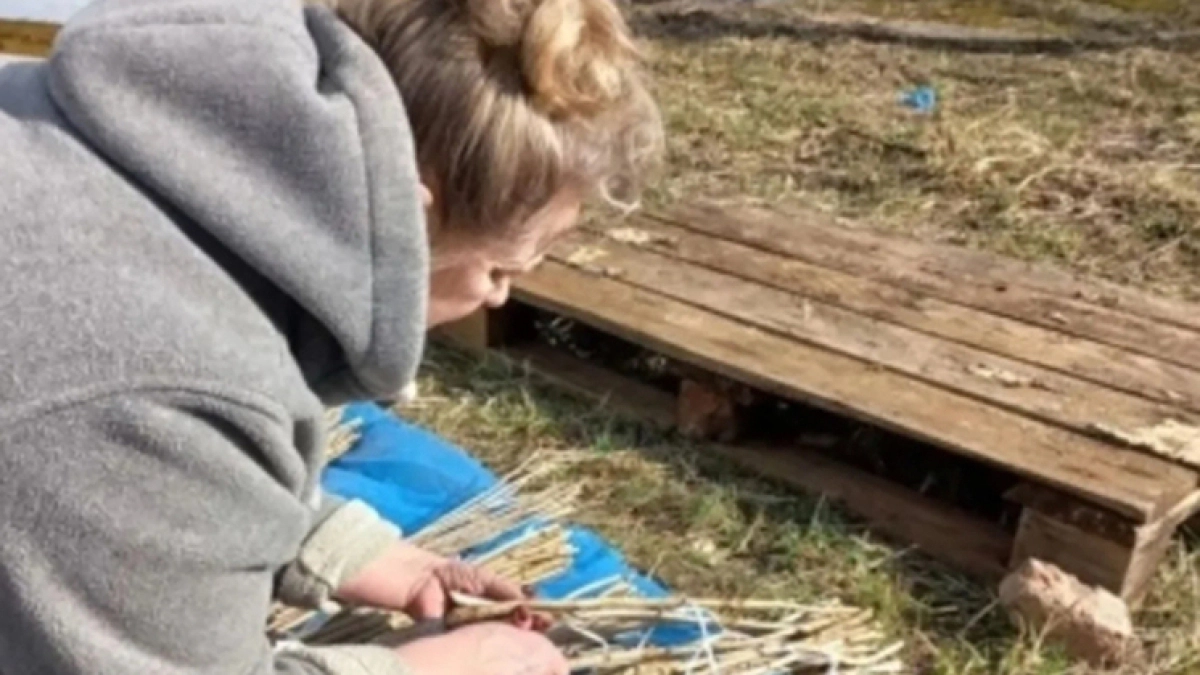 В Калужской области проверили более миллиона черенков смородины