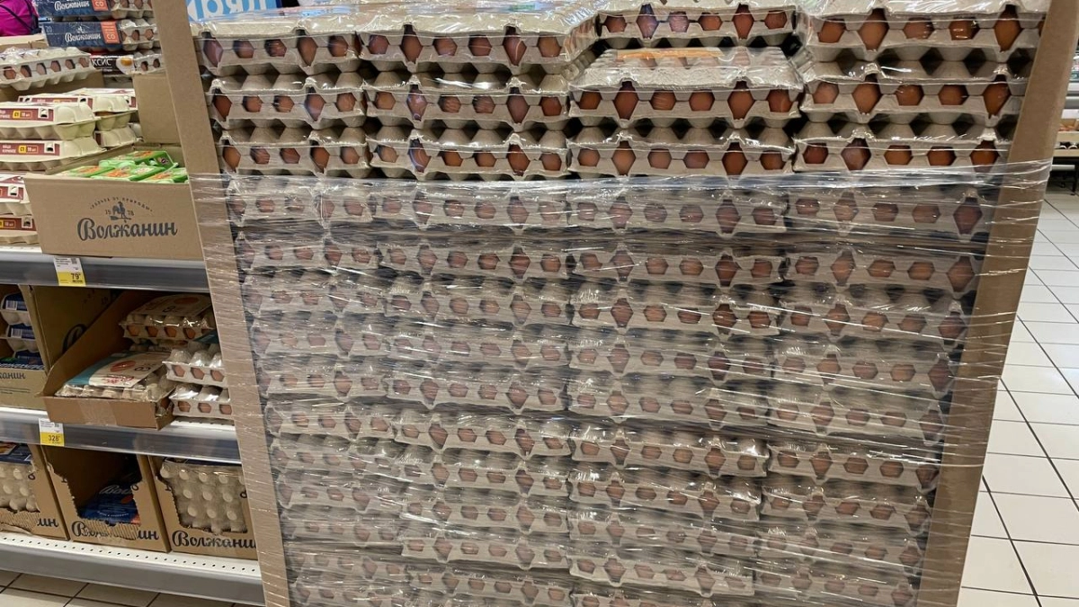 Выбрасывала яичные лотки 5 лет подряд необдуманно. Сейчас грядки почти бесплатные