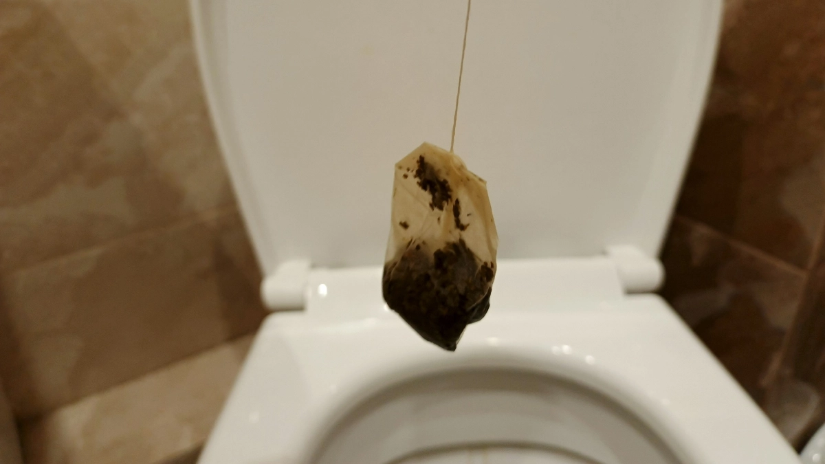 «Не смей выкидывай чайник пакетик! Он тебе весь унитаз отчистит» — подруга посоветовала чистить унитаз чайным пакетиком. Делюсь опытом