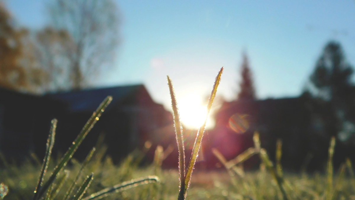 В Калужской области 21 апреля похолодает ночью до -3°C, а днём воздух прогреется до +11°C