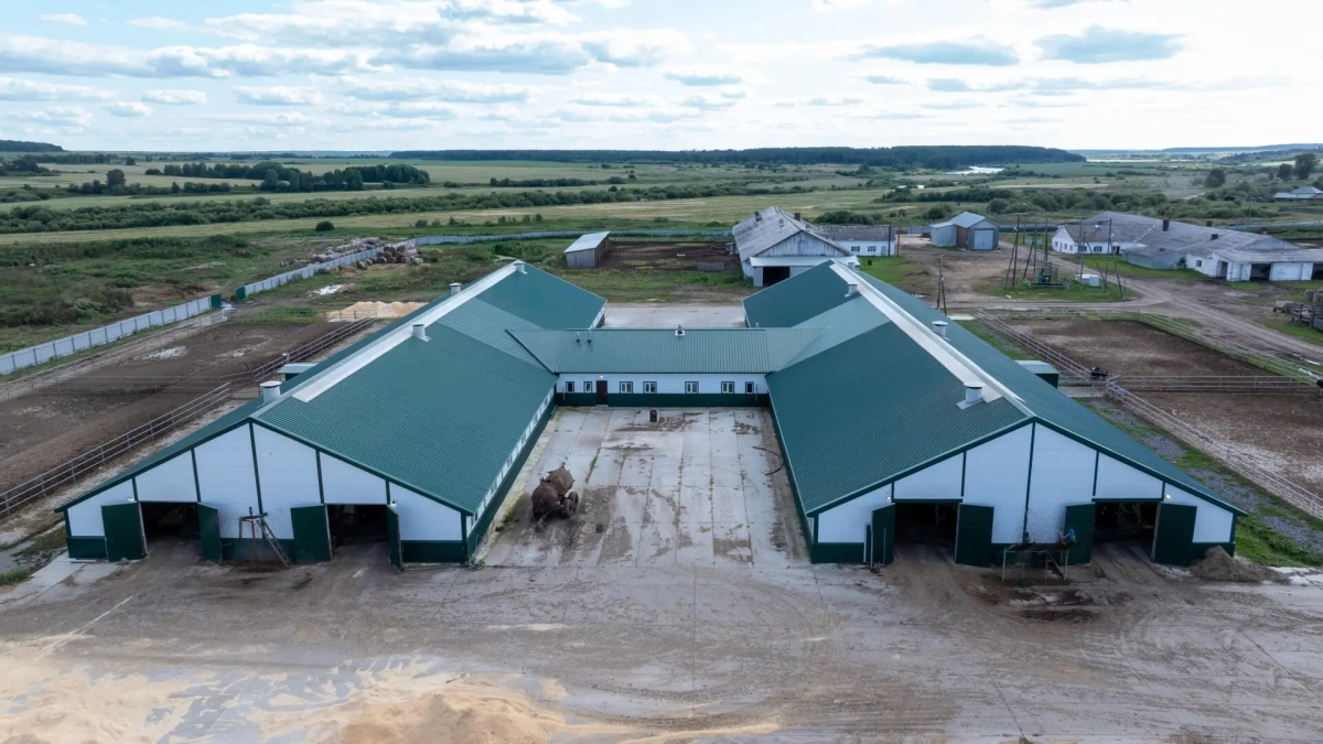 В Калужской области построят роботизированную ферму на 1500 коров с оборудованием из Беларуси