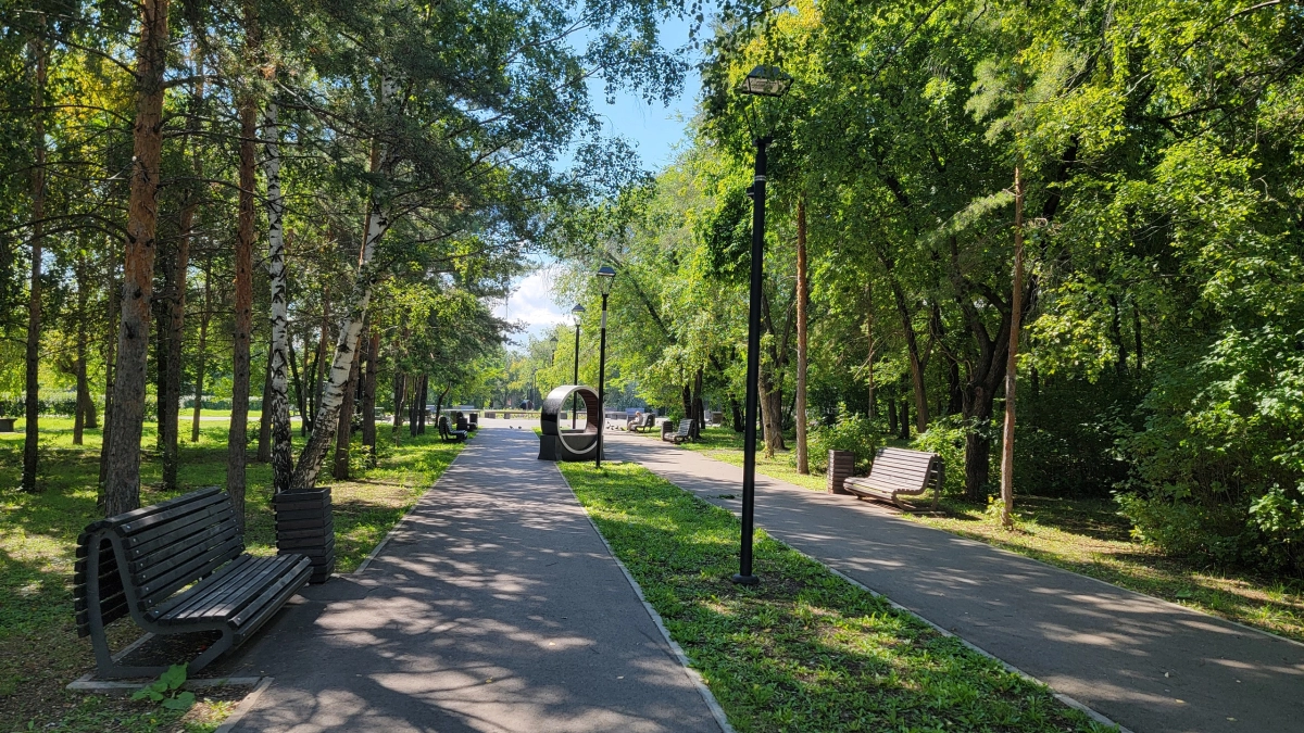 Парки и скверы Калуги обработают от клещей за два дня