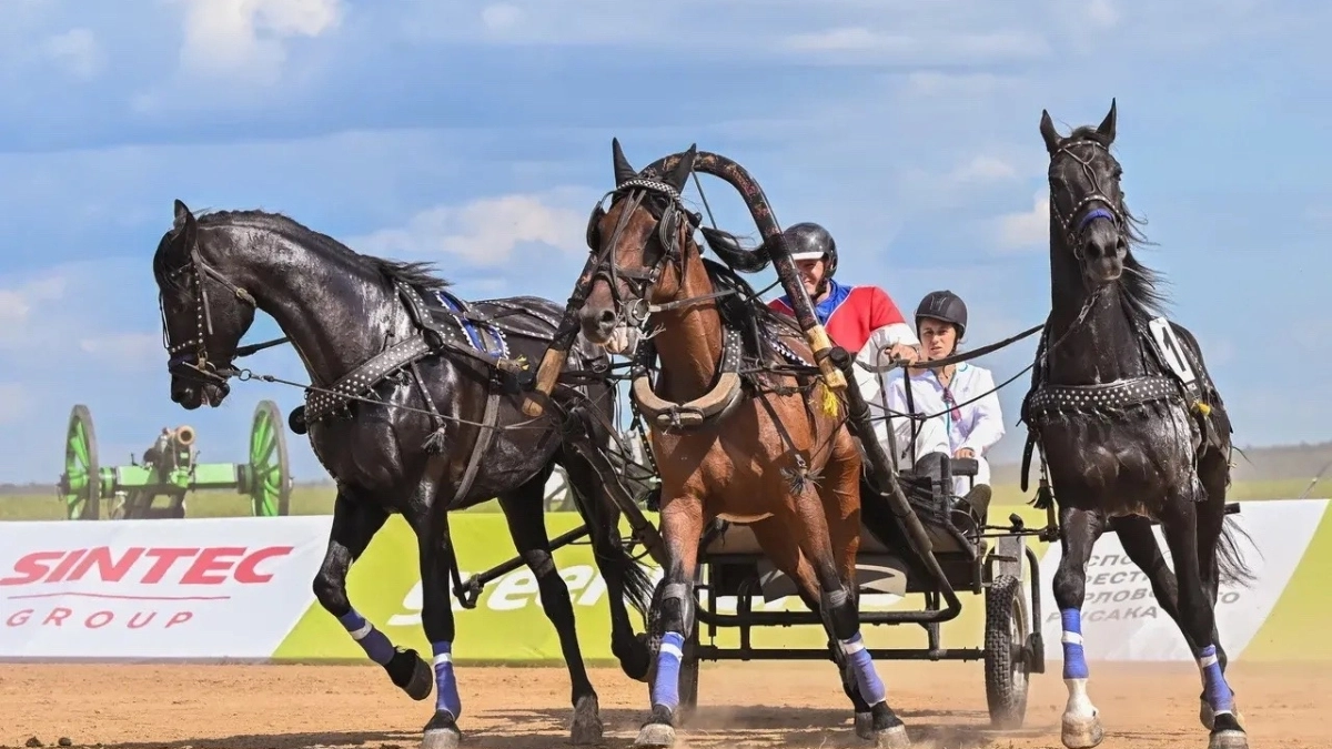 Владислав Шапша рассказал о возрождении русской тройки на Всероссийской конференции