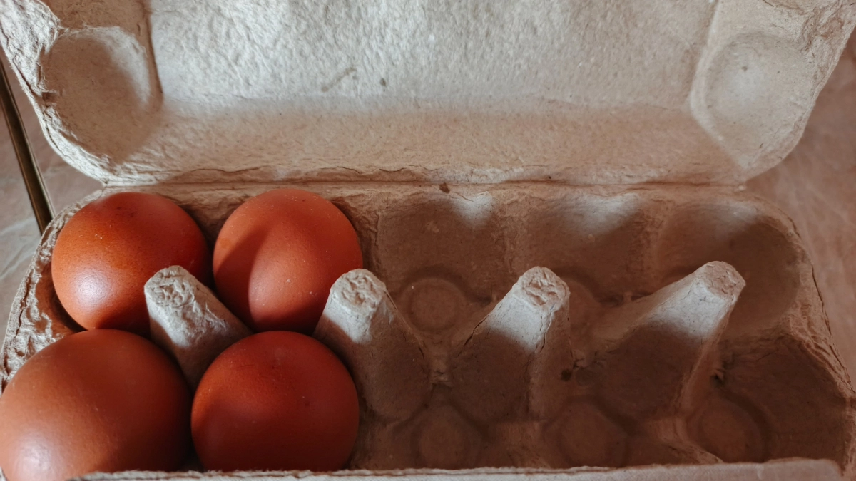 Моя подруга работает на птицефабрике и рассказала, почему не берет такие яйца