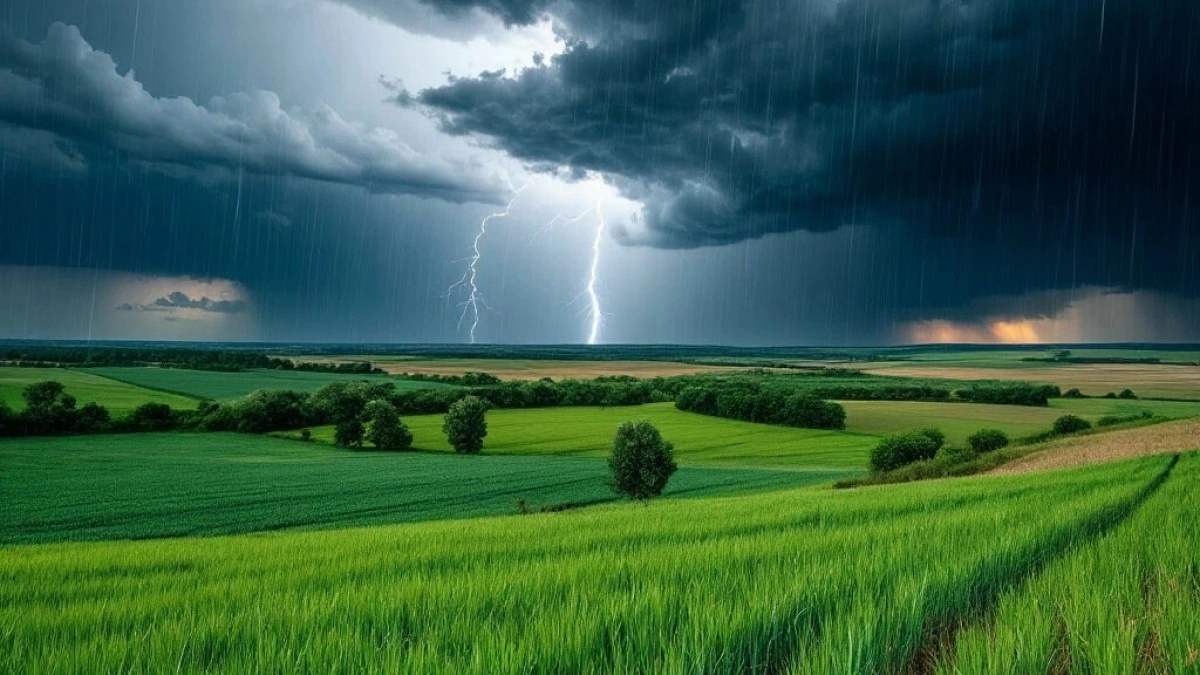 Жаркое лето или дожди с прохладой: синоптики сообщили, чего ждать россиянам