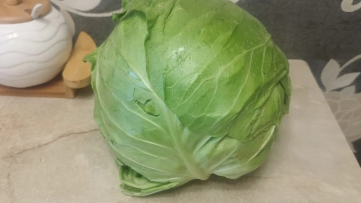 Подсмотрела простой уход за капустой у соседки: за 15 минут в неделю получаю кочаны по 3 кг
