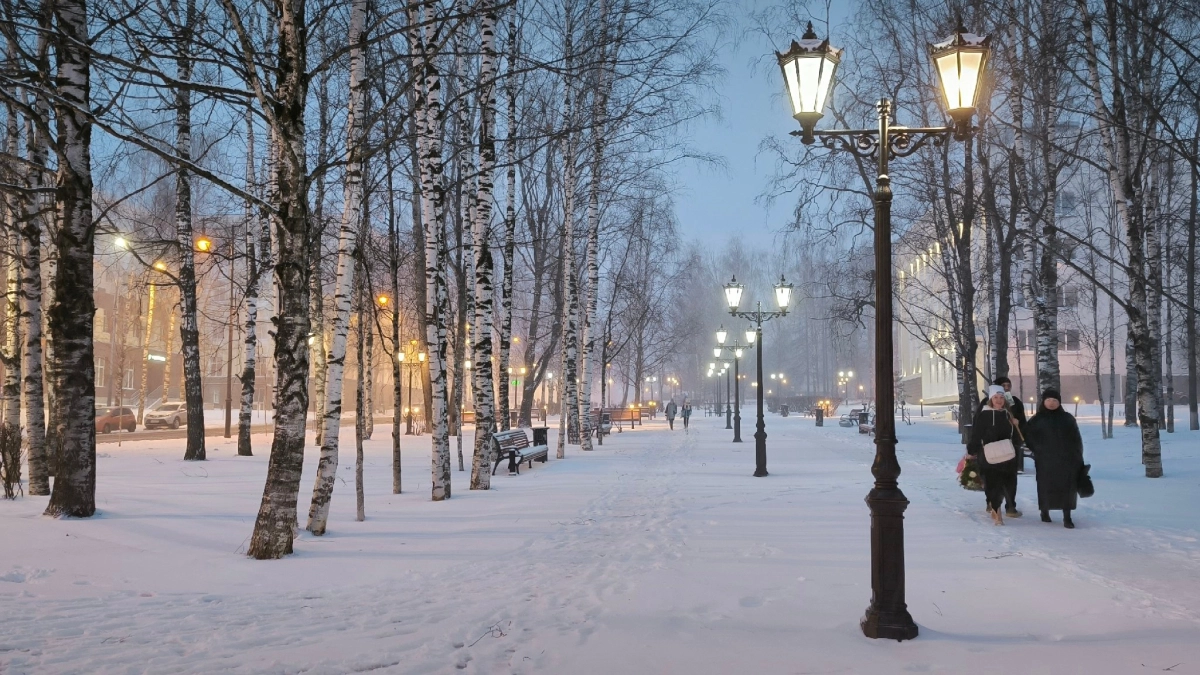 Три округа в Калужской области остались без света из-за штормового ветра с мокрым снегом