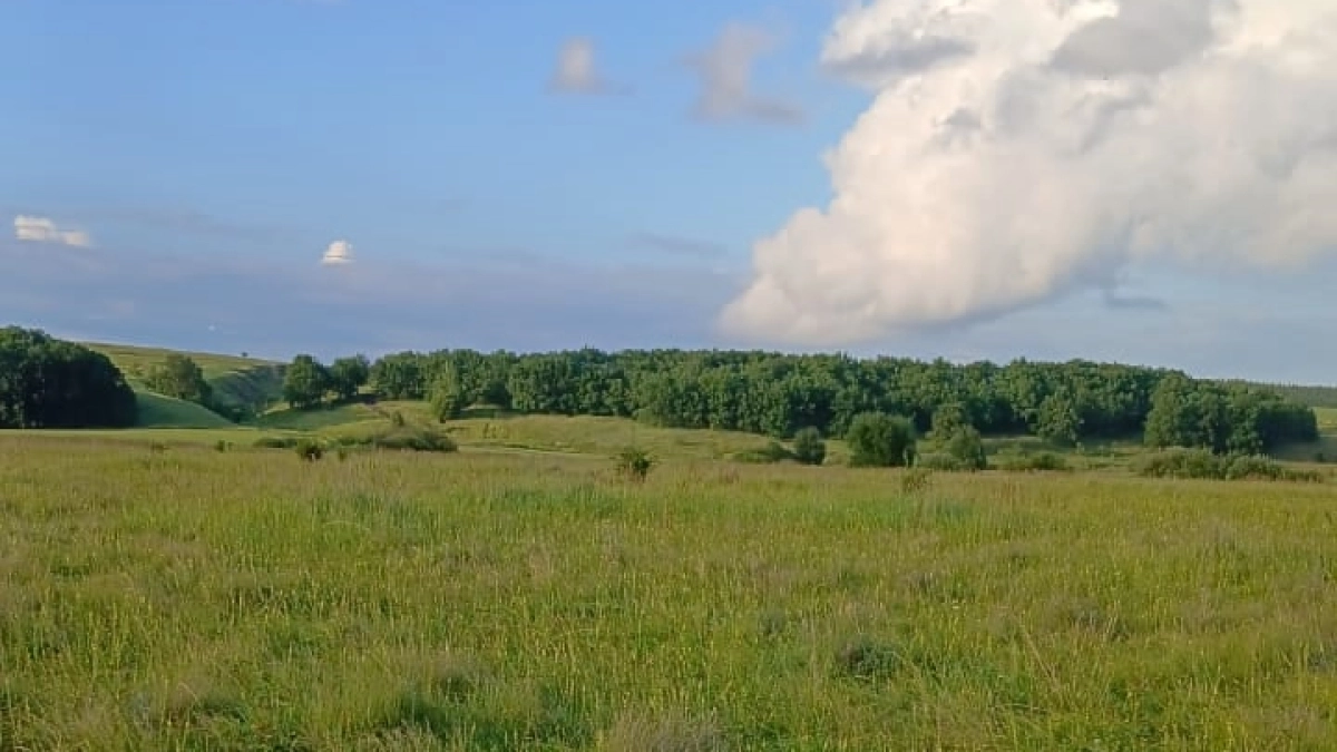 «Поступила новая информация». Синоптики резко изменили прогноз на грядущий май