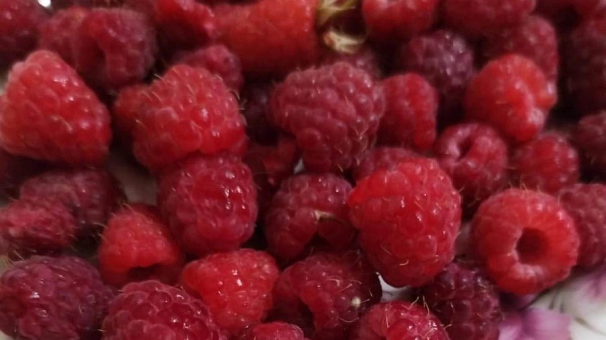 Зачем малине нужна горчица? Забытый порошок, избавит от многих проблем на вашем огороде